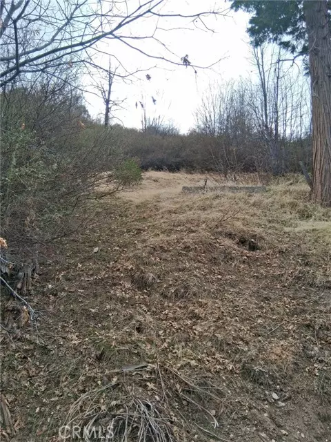 Cedar Glen, CA 92321,0 Pine DR