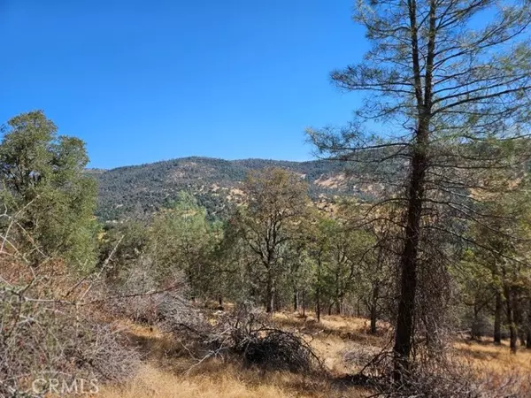 Mariposa, CA 95338,5640 Blue Oak Ridge RD