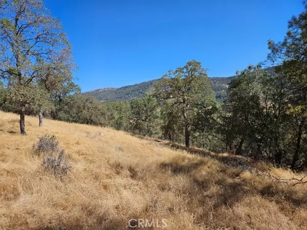 Mariposa, CA 95338,5640 Blue Oak Ridge RD