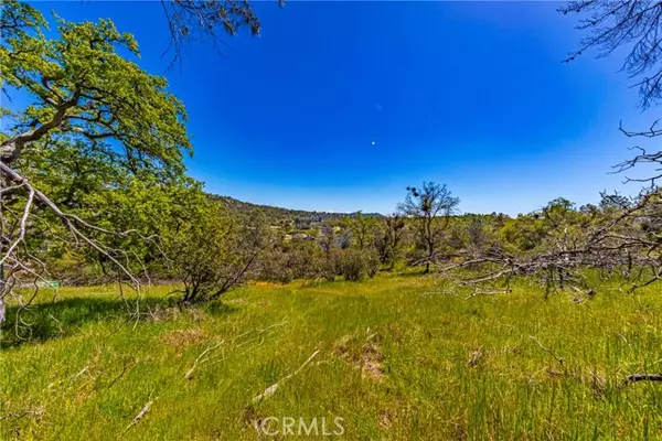 Coarsegold, CA 93614,1 Jim Bowie CT