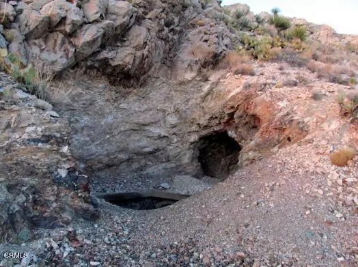 Baker, CA 92309,9 Clark Mountain RD