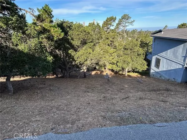 Cambria, CA 93428,0 Richard AVE