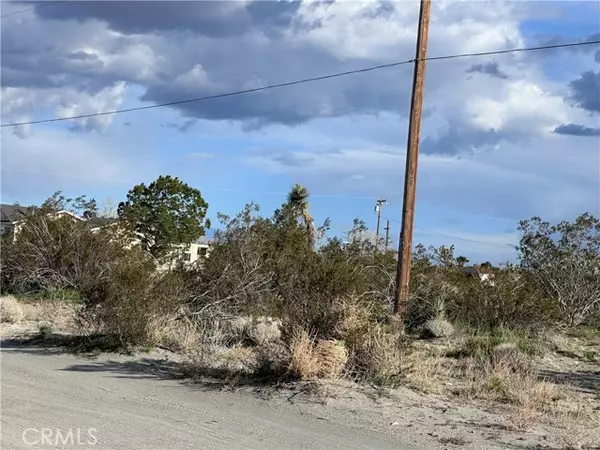 Pinon Hills, CA 92372,0 La Mesa RD