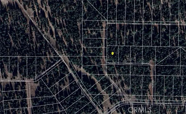 0 Pelican, Alturas, CA 96101