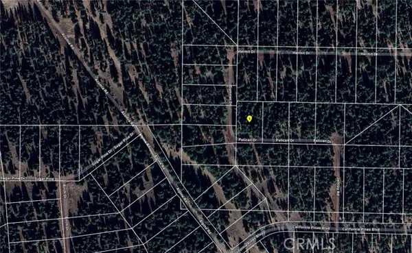 0 Pelican, Alturas, CA 96101