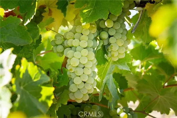 San Miguel, CA 93451,5790 Hog Canyon RD