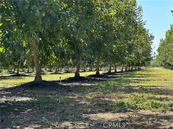 Corning, CA 96021,25392 Pennsylvania AVE