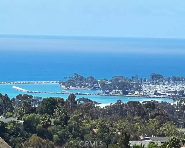 33801 Glocamora LN, San Juan Capistrano, CA 92675