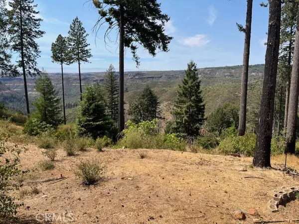 Paradise, CA 95969,6751 Woodland DR