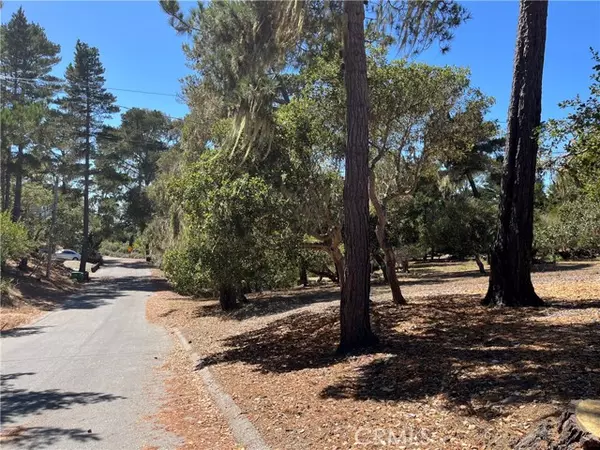 Cambria, CA 93428,34 Kenneth