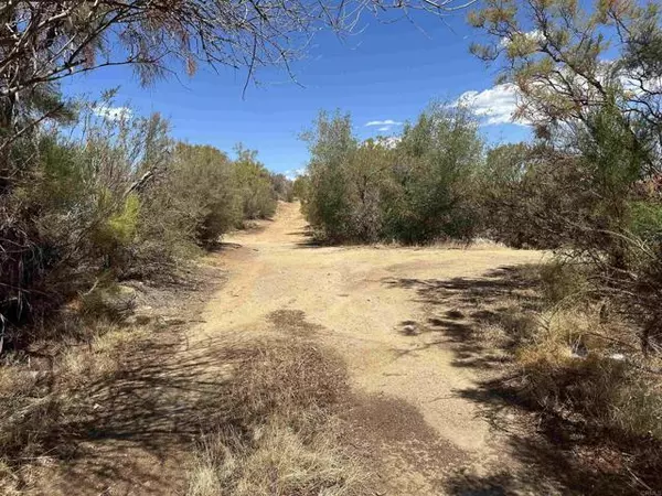 Anza, CA 92539,59125 Rimrock Canyon RD