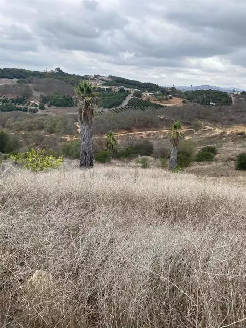 Valley Center, CA 92082,Ridge Creek RD