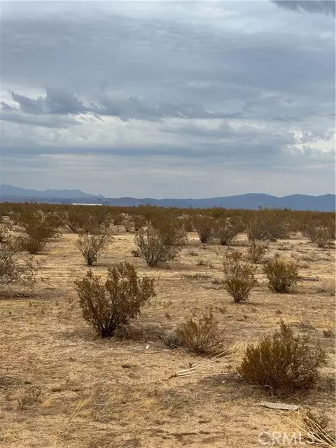 California City, CA 93505,0 California City Blvd