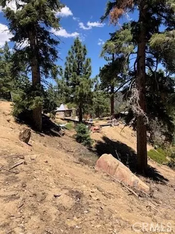 Angelus Oaks, CA 92305,0 Rainbow LN