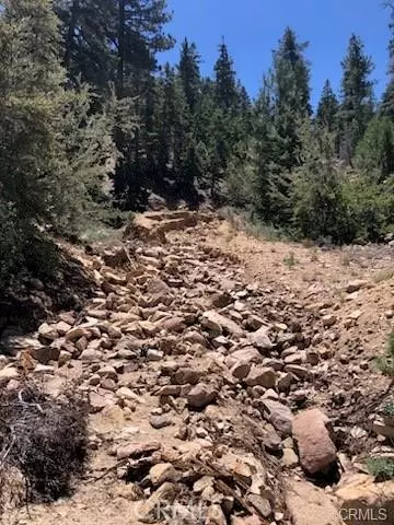 Angelus Oaks, CA 92305,0 Rainbow LN