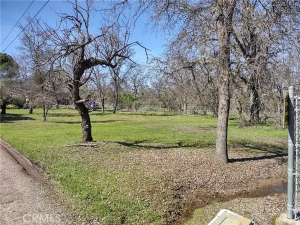 4599 S Terrace AVE, Lakeport, CA 95453