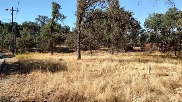 Coarsegold, CA 93614,146 Lot Revis Rd.