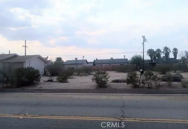 Twentynine Palms, CA 92277,0 Lupine