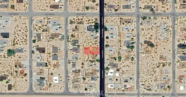 Twentynine Palms, CA 92277,0 Lupine