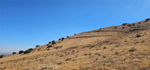 0 Oreo LN, Acton, CA 93510