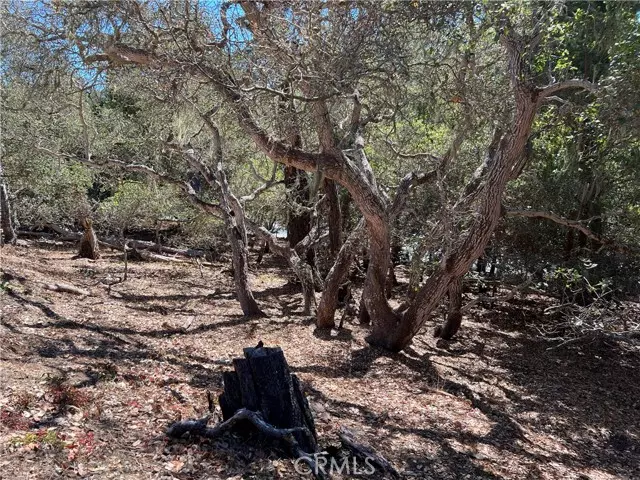 Cambria, CA 93428,2275 Leona DR