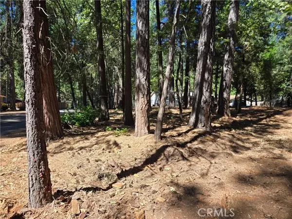 Magalia, CA 95954,0 Tikker Ln