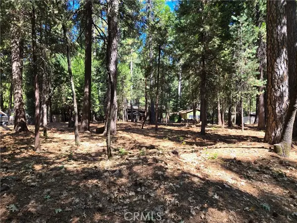 0 Tikker Ln, Magalia, CA 95954