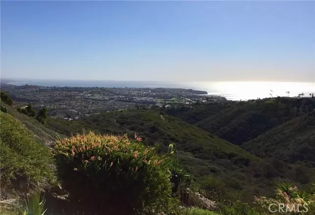 Laguna Niguel, CA 92677,31711 Crystal Sands DR
