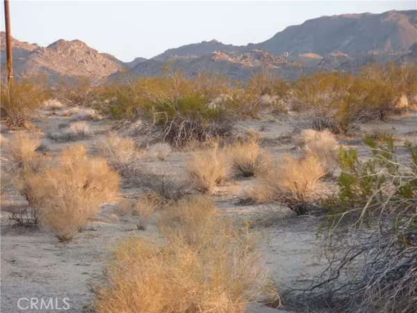 Landers, CA 92285,774 Manzanita RD