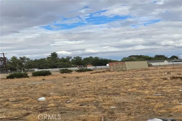 Lake Los Angeles, CA 93535,40922 169th