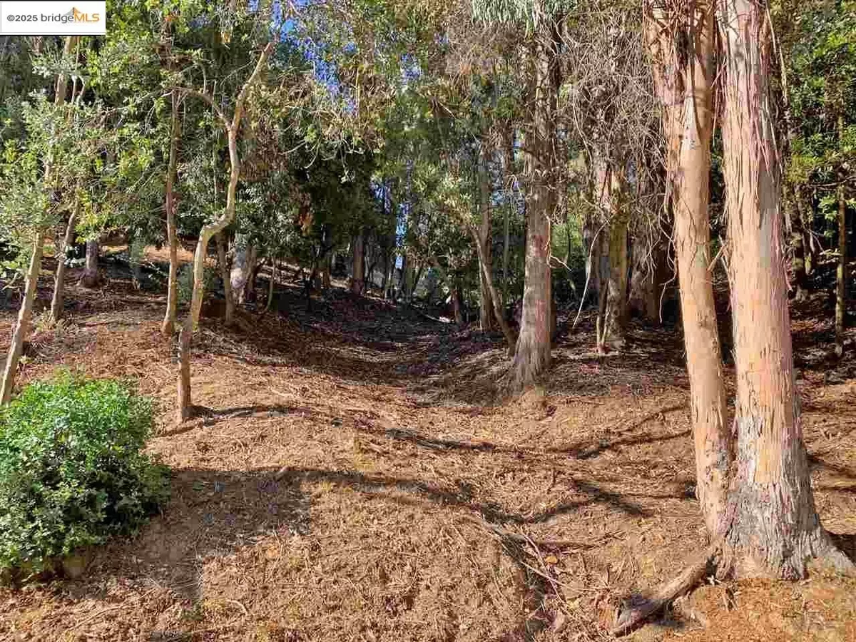 Oakland, CA 94611,6698 Moore Dr