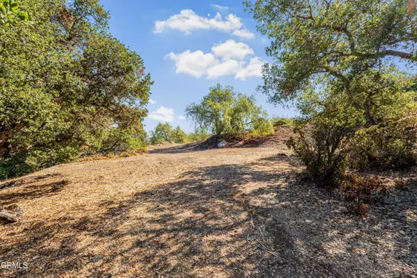 Newbury Park, CA 91320,0 Midbury Hill RD