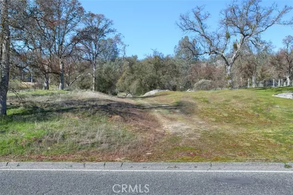 0 6.48 AC Long Hollow DR, Coarsegold, CA 93614