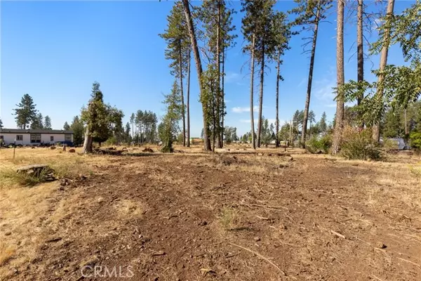 Paradise, CA 95969,570 Bille RD