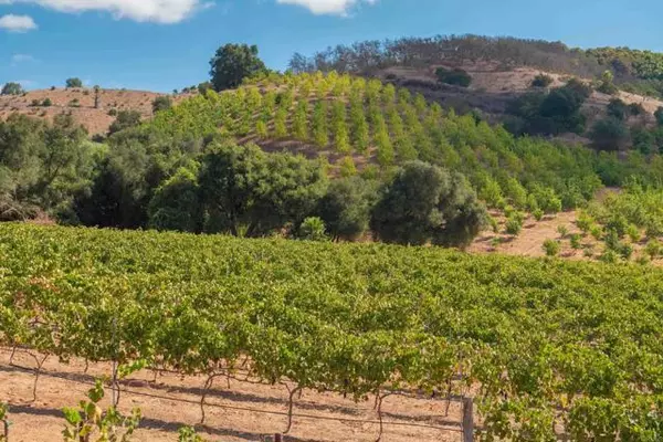 Temecula, CA 92590,1 Via Horca