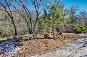 Lake Arrowhead, CA 92352,0 Deer