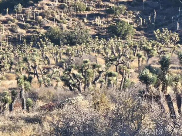 Llano, CA 93544,300 E Z12 ST