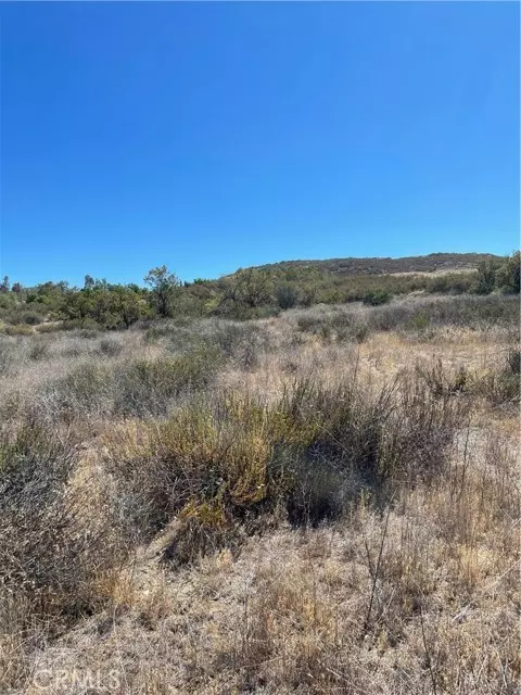 Hemet, CA 92544,21 Stier ST