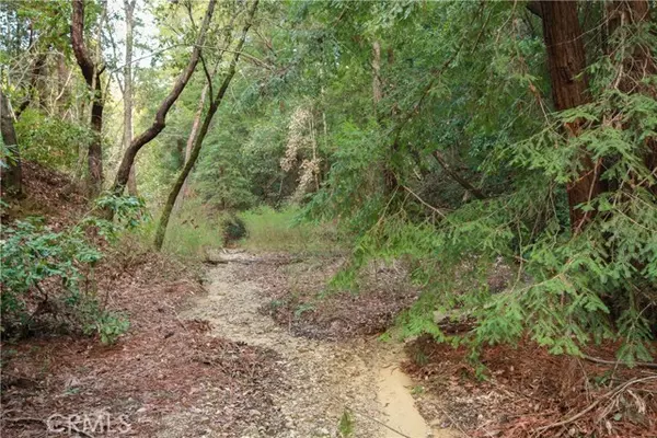 Felton, CA 95018,0 Old Mill RD