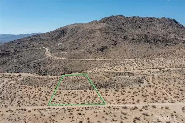 Joshua Tree, CA 92252,0 Campanula ST