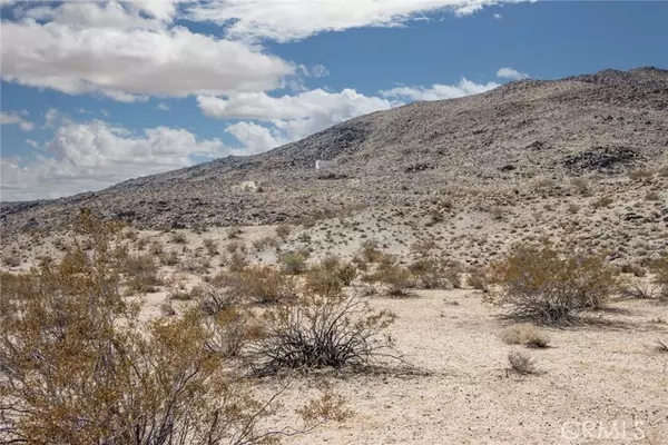Joshua Tree, CA 92252,0 Campanula ST