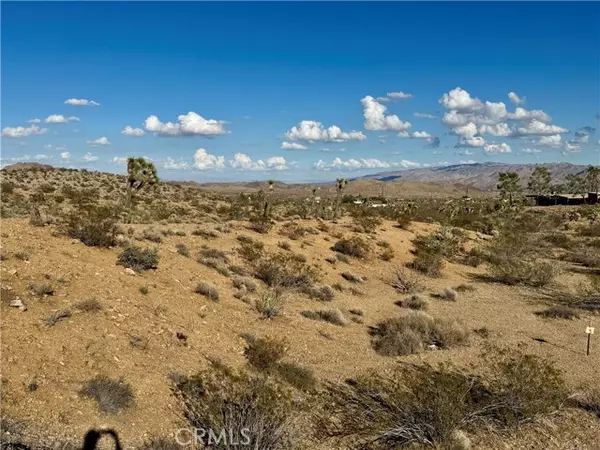 Yucca Valley, CA 92284,0 ocotillo