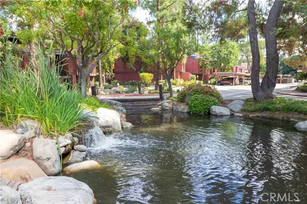 Diamond Bar, CA 91765,374 Prospectors 126