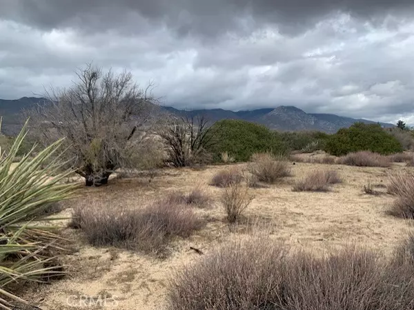 Mountain Center, CA 92561,241 Paradiso RD