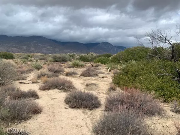 Mountain Center, CA 92561,241 Paradiso RD