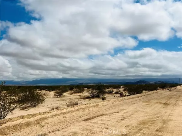 Joshua Tree, CA 92252,25 Copper Moon