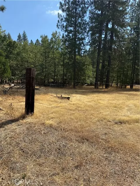 Coulterville, CA 95311,6479 Pine DR