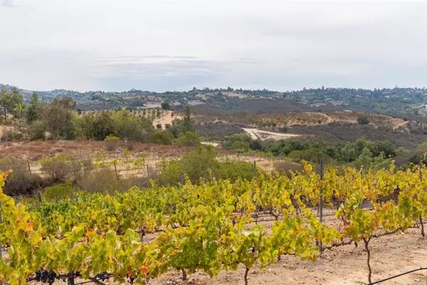 Fallbrook, CA 92028,1738 Via De Lago