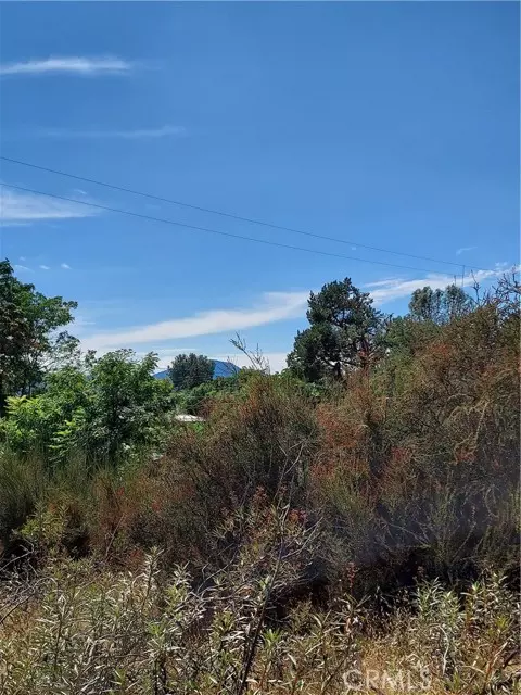 Clearlake, CA 95422,16301 11th AVE