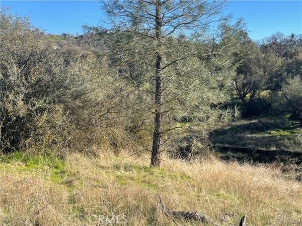 741 lot Long Hollow DR, Coarsegold, CA 93614